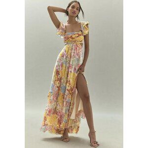 BHLDN Women's Alivia Chiffon Cutout Printed Midi Dress Size S